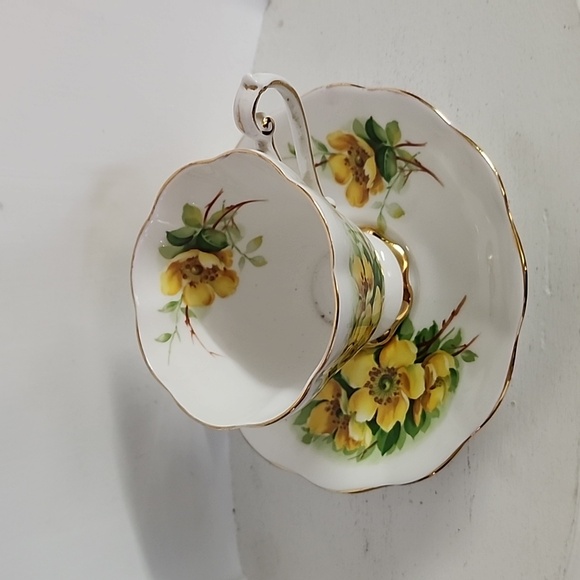 Royal Standard - Bone China - Cup and Saucer - Wild Rose - Picture 5 of 8